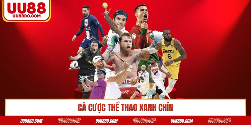 Cá cược thể thao xanh chín